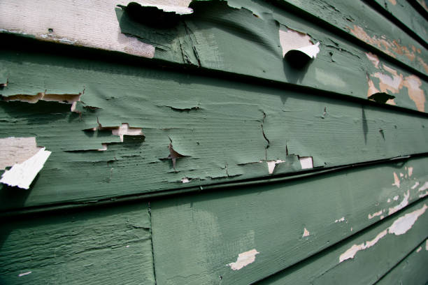 Shed Removal in La Cienega, NM